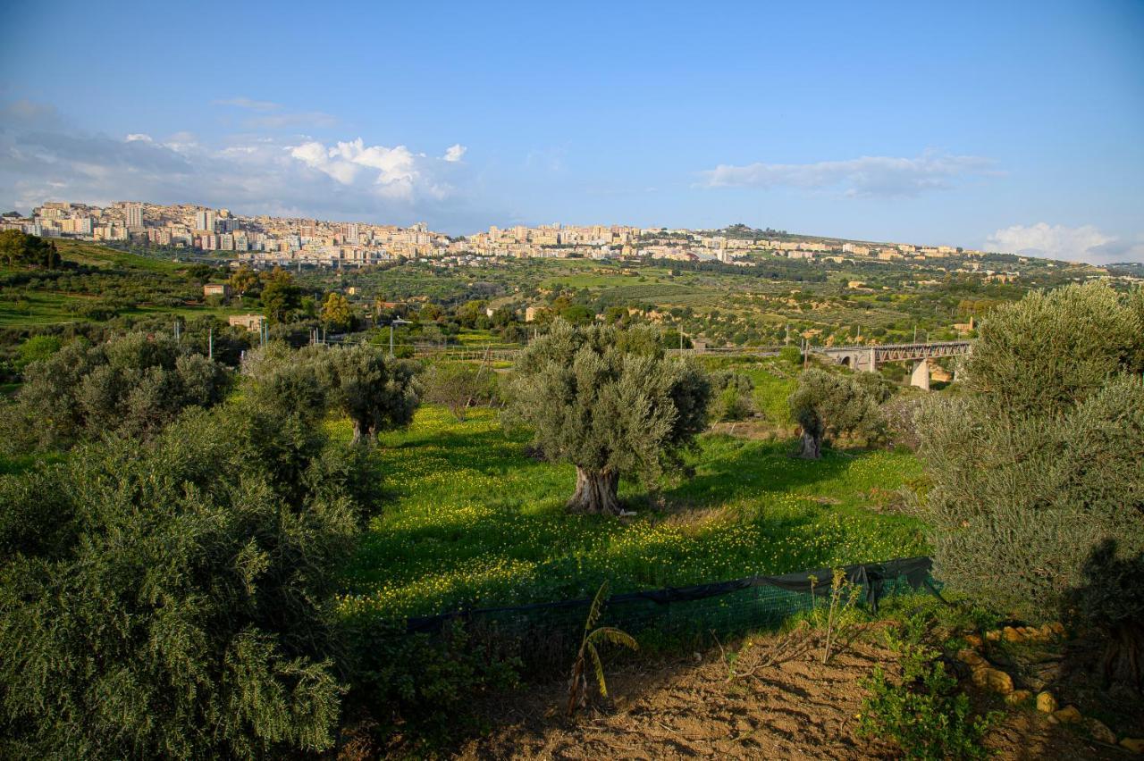 Villa Caterina Agrigento Dış mekan fotoğraf