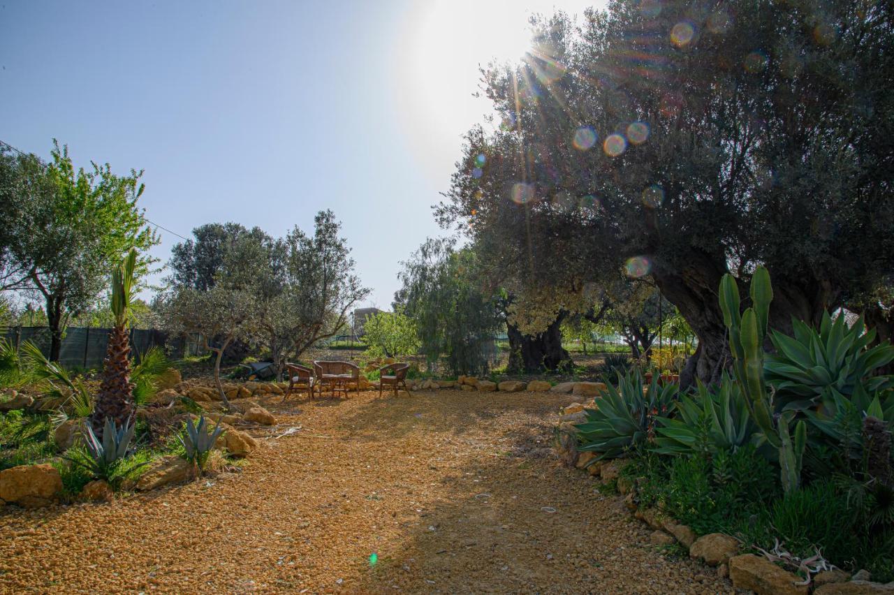 Villa Caterina Agrigento Dış mekan fotoğraf