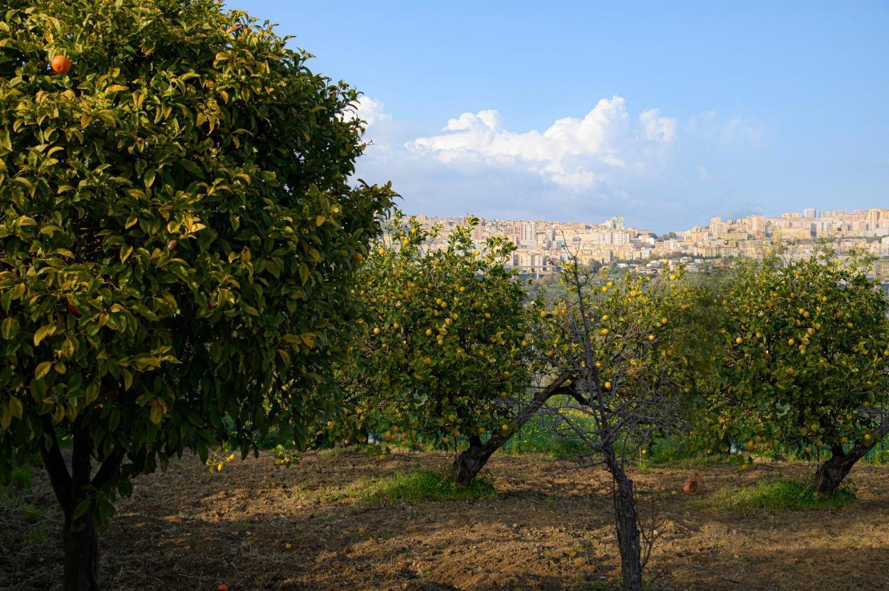 Villa Caterina Agrigento Dış mekan fotoğraf